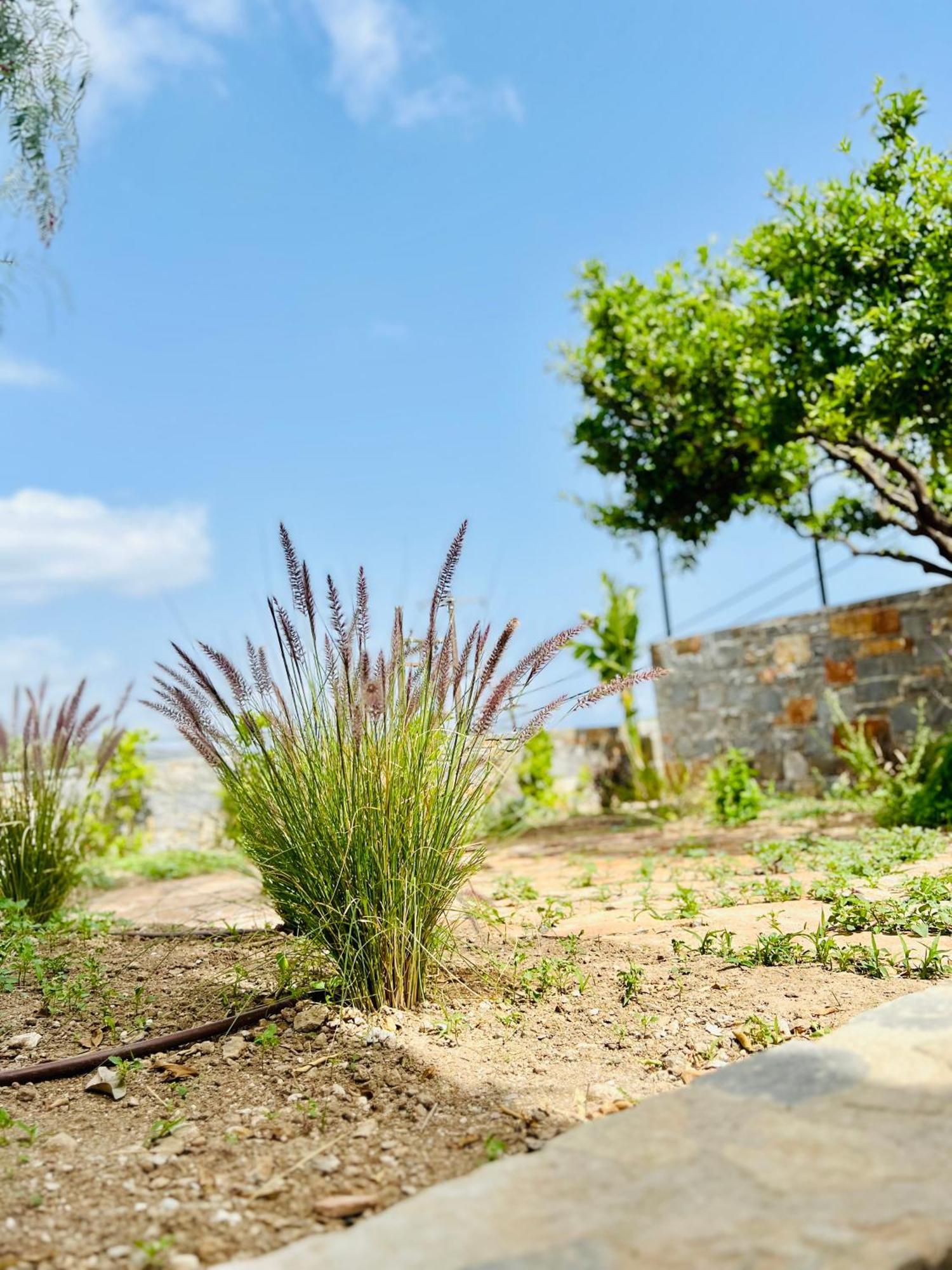 Gioma Garden Villas Istro Luaran gambar